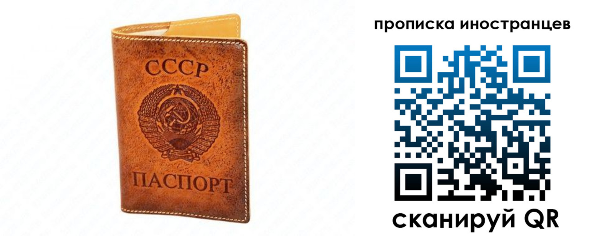 прописка для школы в Курганской области