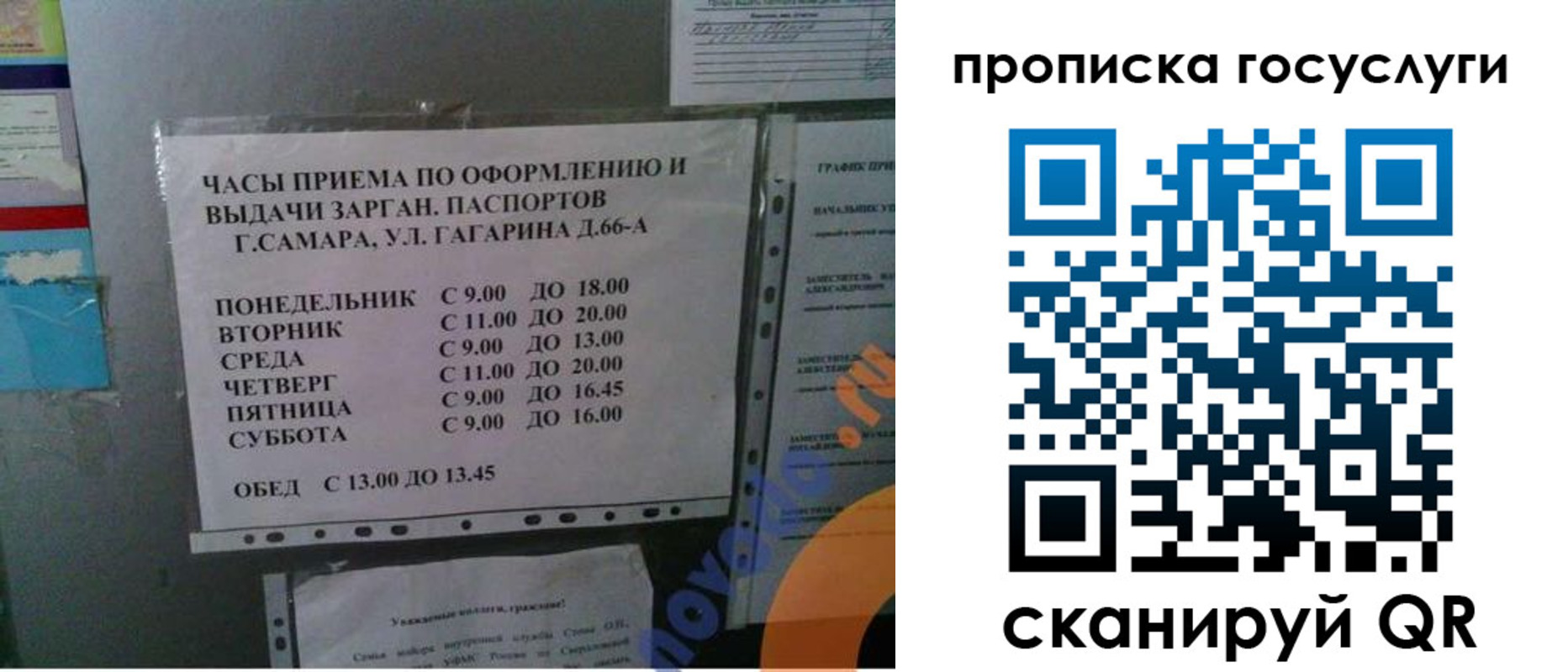 купить прописку в Курганской области